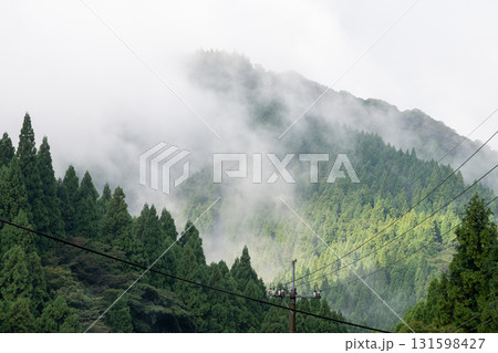日本の鳥取県で見たとても美しい雨上がりの田園風景 日本の鳥取県で見たとても美しい雨上がりの田園風景 131598427