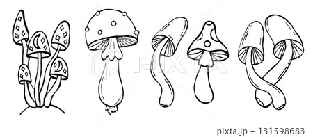 Outline Magic Creepy Mushroom Doodles set. Isolated Mystical Space Fungi, fly agaric. Textured Hand Drawn on White Background. Vector Illustration Sketch. Not AI 131598683