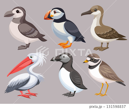 Collection of colorful seabirds. Frigatebird, albatross, cormorant, puffin, skua and others. Ornithology Illustration. Collection of colorful seabirds. Frigatebird, albatross, cormorant, puffin, skua and others. Ornithology Illustration. 131598837