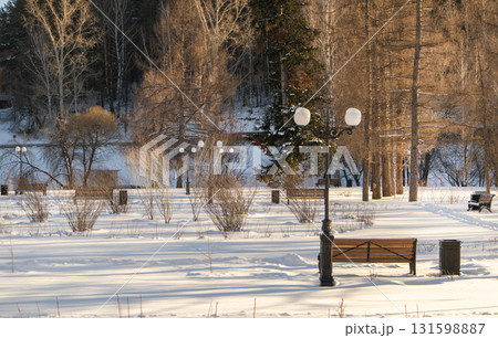 Winter park with benches and lampposts in snow, long shadows and blue sky 131598887