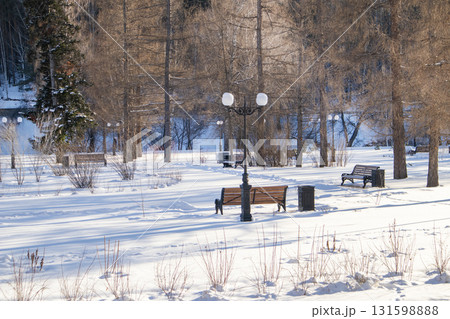 Winter park with benches and lampposts in snow, long shadows and blue sky 131598888