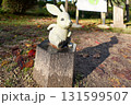 出雲大社　因幡の白兎 131599507