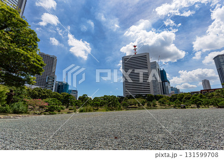 東京・旧芝離宮恩賜庭園の初秋の青空と高層ビル群のコントラスト 東京・旧芝離宮恩賜庭園の初秋の青空と高層ビル群のコントラスト 131599708