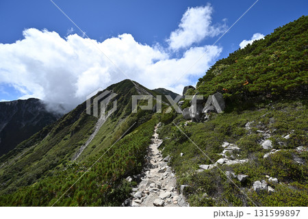 木曽駒ヶ岳登山、中央アルプス、長野県 131599897