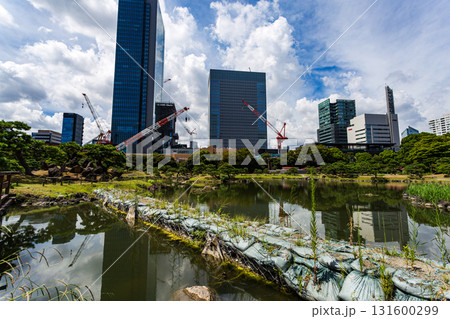 東京・旧芝離宮恩賜庭園の池の土嚢と水面に反射する高層ビル、建設中の都市風景 東京・旧芝離宮恩賜庭園の池の土嚢と水面に反射する高層ビル、建設中の都市風景 131600299