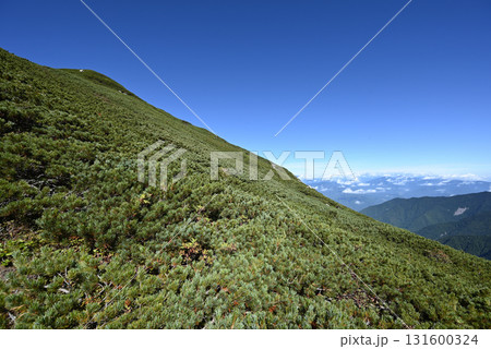 木曽駒ヶ岳登山、中央アルプス、長野県 131600324