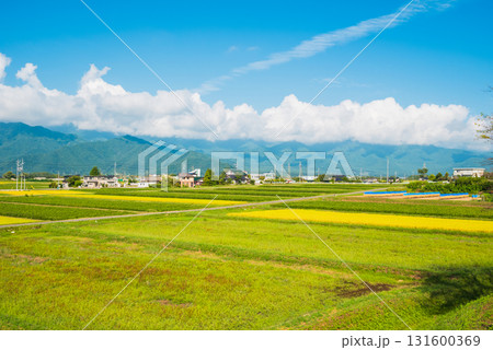 秋の安曇野【北安曇郡池田町】 秋の安曇野【北安曇郡池田町】 131600369