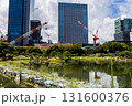 東京・旧芝離宮恩賜庭園の治水用土嚢と池に反射する建設クレーン、高層ビル群 131600376