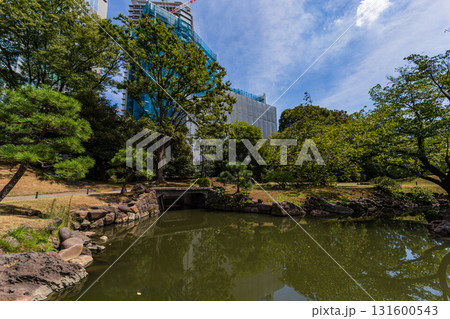 東京・旧芝離宮恩賜庭園の松と和風の橋、緑越しに見える建設中の高層ビル 東京・旧芝離宮恩賜庭園の松と和風の橋、緑越しに見える建設中の高層ビル 131600543