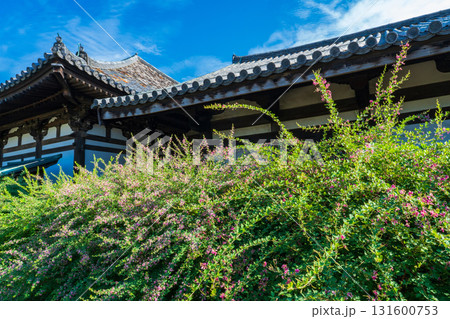 奈良県奈良市 元興寺 萩の花と極楽坊本堂 奈良県奈良市 元興寺 萩の花と極楽坊本堂 131600753