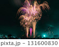 川崎市政記念多摩川花火大会 131600830