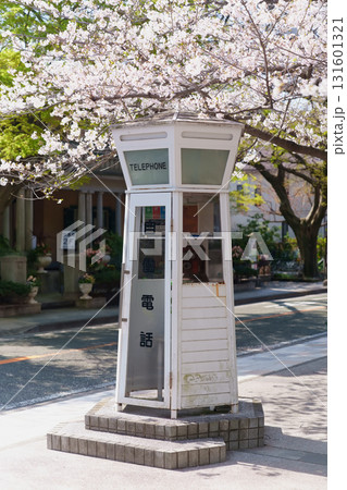 横浜・山手 元町公園の桜 横浜・山手 元町公園の桜 131601321