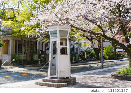 横浜・山手 元町公園の桜 横浜・山手 元町公園の桜 131601327