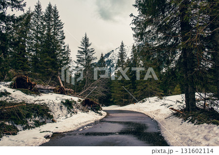 Mountain fir forest and the road near Morskie Oko Lake in Poland at Winter. Tatras mountains Mountain fir forest and the road near Morskie Oko Lake in Poland at Winter. Tatras mountains 131602114