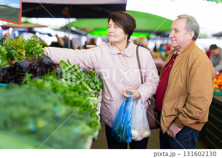 Positive elderly male and female choosing basil while buying greenery at local grocery market 131602130