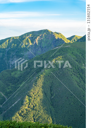 南アルプスの南岳から見るモルゲンロートの兎岳　南アルプス聖岳登山 131602554