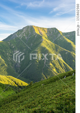 南アルプスの南岳から見るモルゲンロートの聖岳（前聖岳、奥聖岳）　南アルプス聖岳登山 131602560