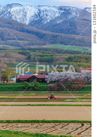 桜咲く里に広がる田畑と春耕の風景 131602584