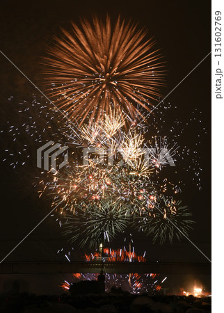 大輪の花 131602769