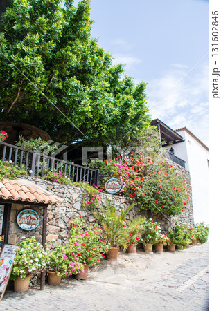 明るい日差しの下の花の植木鉢が並ぶ石造りのカフェ　フエルテベンテュラ島の内陸のベタンクリアにて 131602846