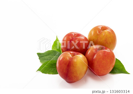 白バックのプラム 白バックのプラム 131603314