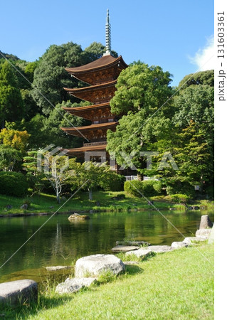 国宝 瑠璃光寺五重塔 国宝 瑠璃光寺五重塔 131603361