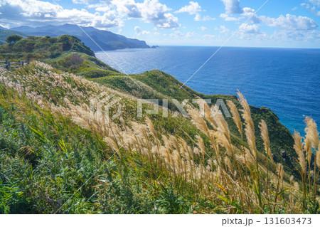 神威岬(積丹)からの風景 131603473