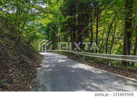 国道299号線十石峠の群馬県側の狭い山道 国道299号線十石峠の群馬県側の狭い山道 131603509