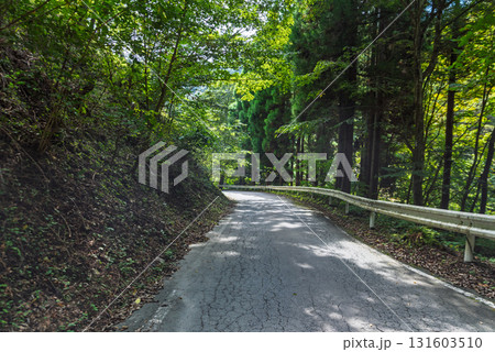 国道299号線十石峠の群馬県側の狭い山道 国道299号線十石峠の群馬県側の狭い山道 131603510