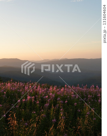 Beautiful mountain landscape, light over peaks and valleys, natural scenery, calm atmosphere and wild nature Beautiful mountain landscape, light over peaks and valleys, natural scenery, calm atmosphere and wild nature 131604604