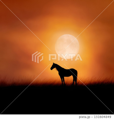 Dramatic close-up of a black horses eye with vivid flames reflected, symbolizing the strength of the 2026 Fire Horse Dramatic close-up of a black horses eye with vivid flames reflected, symbolizing the strength of the 2026 Fire Horse 131604849