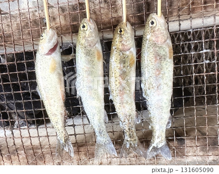 川魚の炭火焼きアウトドア料理 131605090