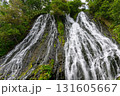北海道知床 オシンコシンの滝 2025年8月 131605667