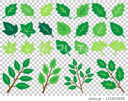 Illustration set of various green leaves and branches Illustration set of various green leaves and branches 131605698