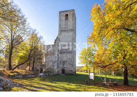 The Katarinka, ruins of a Franciscan monastery and church in Slovakia, Europe. Stone ruins stand tall amidst autumn trees, bathed in sunlight, blending history with natural beauty. 131605783