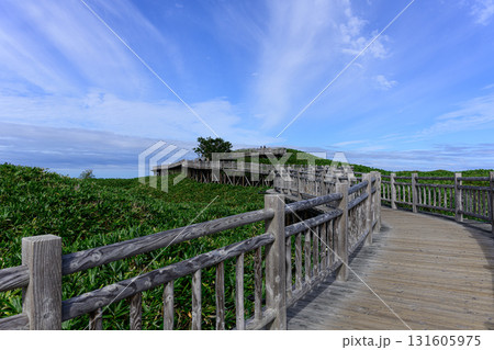 知床五胡 高架木道 夏 2025年8月 知床五胡 高架木道 夏 2025年8月 131605975