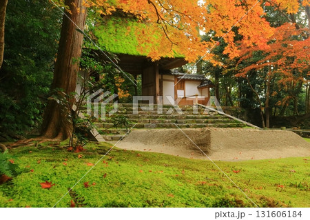 哲学の道沿いにある法然院(京都市左京区)境内の見事な紅葉 哲学の道沿いにある法然院(京都市左京区)境内の見事な紅葉 131606184