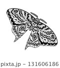 Moth with detailed patterned wings and textured body. Liner ink illustration on white background. Ideal for botanical prints, tattoo design, packaging, invitations, and natural science decor. 131606186
