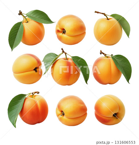 Isolate a pile of ripe apricots on a branch with green leaves perfectly demonstrates a fresh harvest. The image is suitable for healthy eating and summer fruit themes. Isolate a pile of ripe apricots on a branch with green leaves perfectly demonstrates a fresh harvest. The image is suitable for healthy eating and summer fruit themes. 131606553