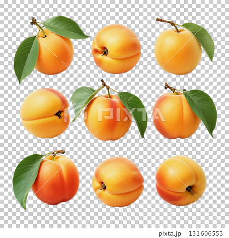 Isolate a pile of ripe apricots on a branch with green leaves perfectly demonstrates a fresh harvest. The image is suitable for healthy eating and summer fruit themes. 131606553