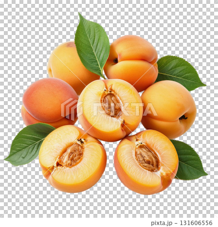 Isolate a pile of ripe apricots on a branch with green leaves perfectly demonstrates a fresh harvest. The image is suitable for healthy eating and summer fruit themes. 131606556