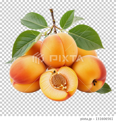 Isolate a pile of ripe apricots on a branch with green leaves perfectly demonstrates a fresh harvest. The image is suitable for healthy eating and summer fruit themes. 131606561