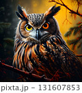 Owl sit in a branch tree and looking on the the camera on forest. 131607853