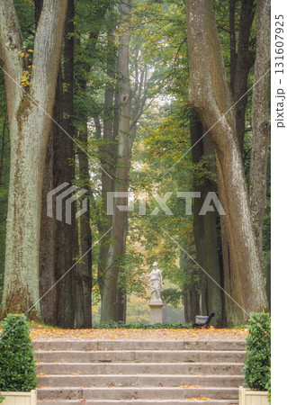 Alley of the park in autumn. Gatchina. Alley of the park in autumn. Gatchina. 131607925