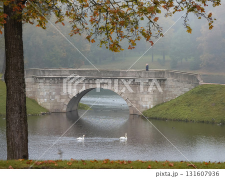 foggy autumn landscape with old stone bridge, Gatchina foggy autumn landscape with old stone bridge, Gatchina 131607936