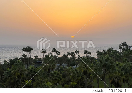 Sunset Over La Gomera island. View from Tenerife with Dramatic Clouds and Silhouetted Palms Sunset Over La Gomera island. View from Tenerife with Dramatic Clouds and Silhouetted Palms 131608114