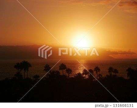 Sunset Over La Gomera island. View from Tenerife with Dramatic Clouds and Silhouetted Palms Sunset Over La Gomera island. View from Tenerife with Dramatic Clouds and Silhouetted Palms 131608131