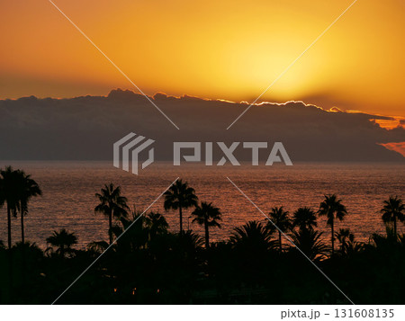 Sunset Over La Gomera island. View from Tenerife with Dramatic Clouds and Silhouetted Palms 131608135