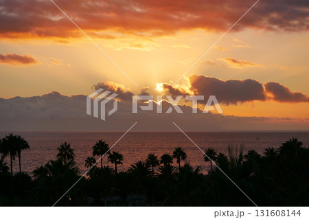 Sunset Over La Gomera island. View from Tenerife with Dramatic Clouds and Silhouetted Palms 131608144