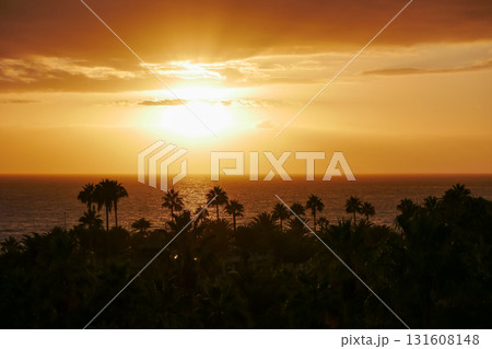 Sunset Over La Gomera island. View from Tenerife with Dramatic Clouds and Silhouetted Palms Sunset Over La Gomera island. View from Tenerife with Dramatic Clouds and Silhouetted Palms 131608148